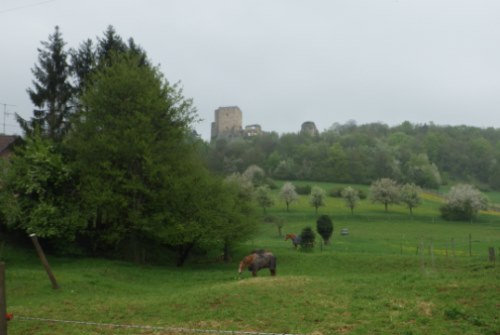ruines de la Landskron dans le Jura Alsacien