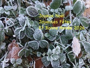 Meilleurs vœux pour 2026